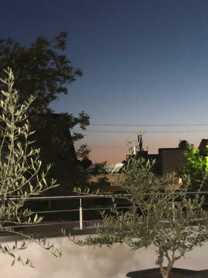 Hotel Sonnenhof Σίντελφινγκεν Εξωτερικό φωτογραφία